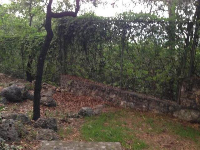 TERRENO DE 601 M² CON VISTAS Y BOSQUE EN VALLE DE SAN ÁNGEL