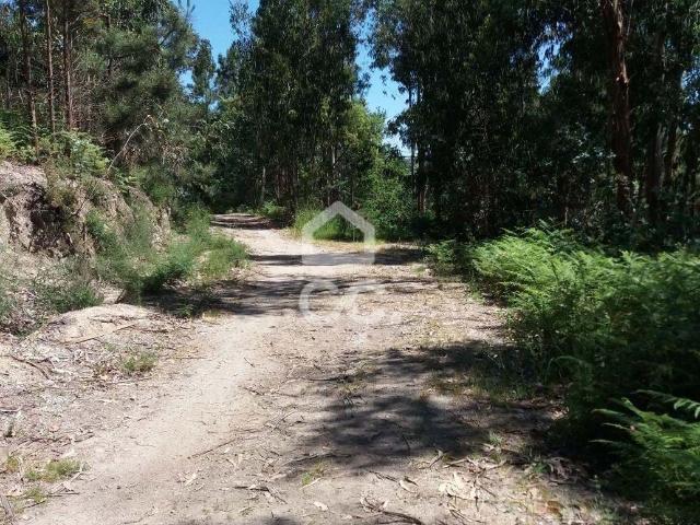 Terreno, Valpedre, Penafiel