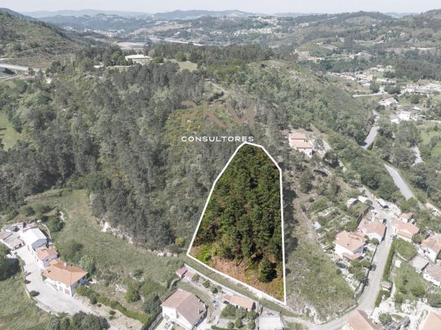 TERRENO VÁRZEA, AMARANTE