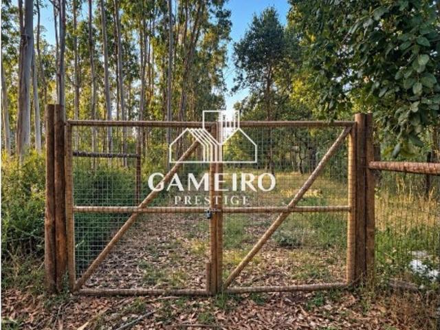 Terreno Vedado com 2.135 m² | Caldas da Rainha Galvarias
