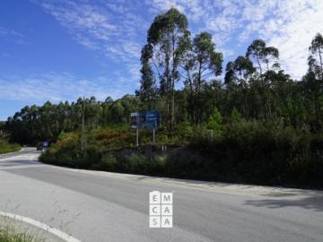 Terreno Venda em Nogueira do Cravo e Pindelo,Oliveira de Azeméis