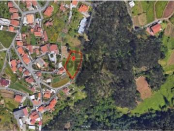 Terreno Venda em Nogueira do Cravo e Pindelo,Oliveira de Azeméis