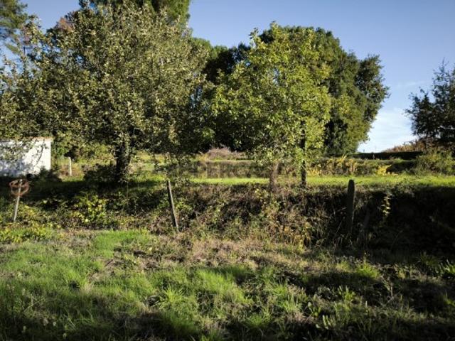 Terreno Venda em Oliveira do Conde,Carregal do Sal