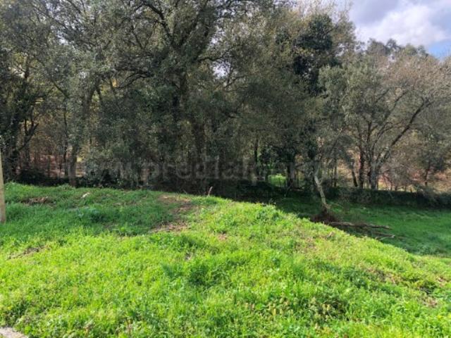 Terreno Venda em Avintes,Vila Nova de Gaia