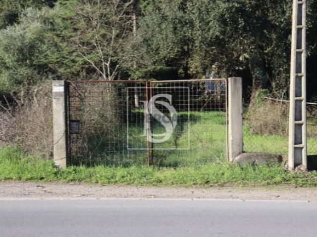 Terreno Venda em Abrantes São Vicente e São João e Alferrarede,Abrantes