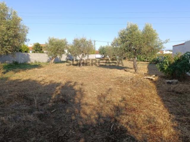 Terreno Venda em Abrantes São Vicente e São João e Alferrarede,Abrantes