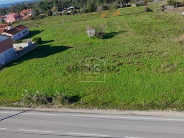 Terreno Venda em Aljubarrota,Alcobaça