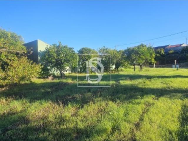 Terreno Venda em Alqueidão,Figueira da Foz