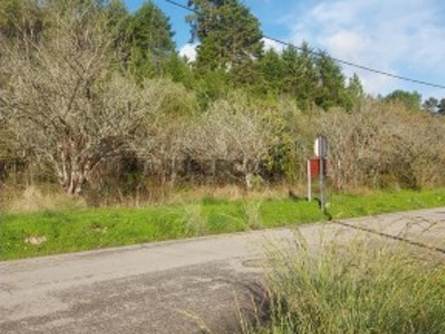 Terreno Venda em Assafarge e Antanhol,Coimbra