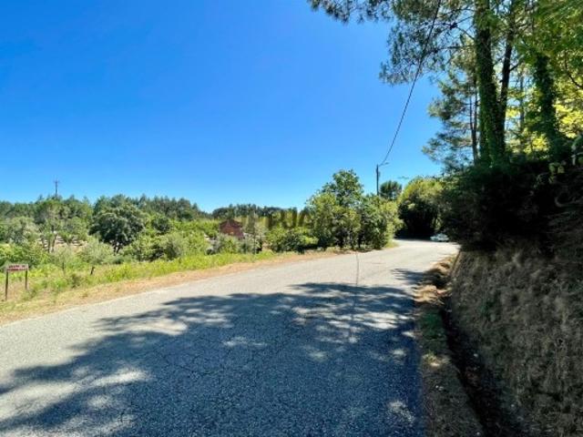 Terreno Venda em Barreiro de Besteiros e Tourigo,Tondela