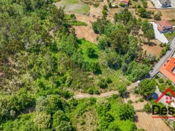Terreno Venda em Bodiosa,Viseu