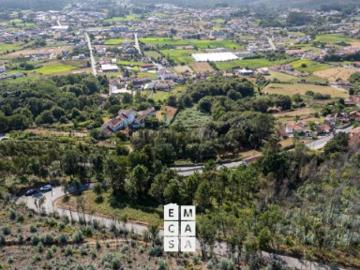 Terreno Venda em Branca,Albergaria a Velha