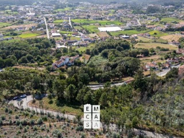Terreno Venda em Branca,Albergaria a Velha