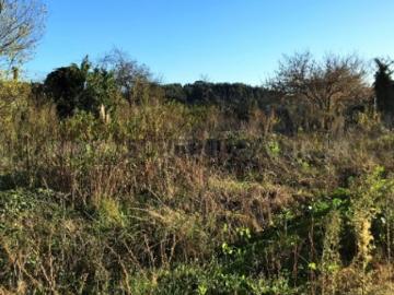Terreno Venda em Custóias, Leça do Balio e Guifões,Matosinhos