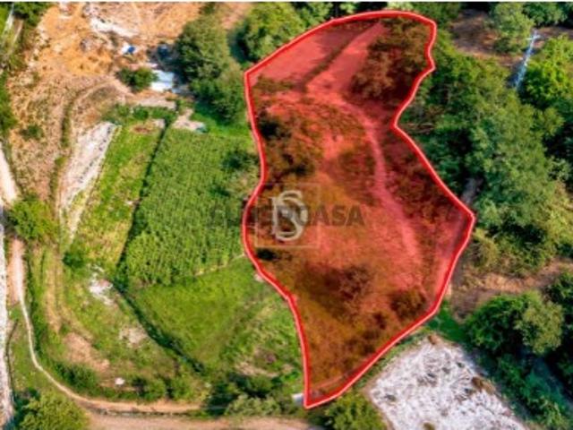 Terreno Venda em Campelo e Ovil,Baião