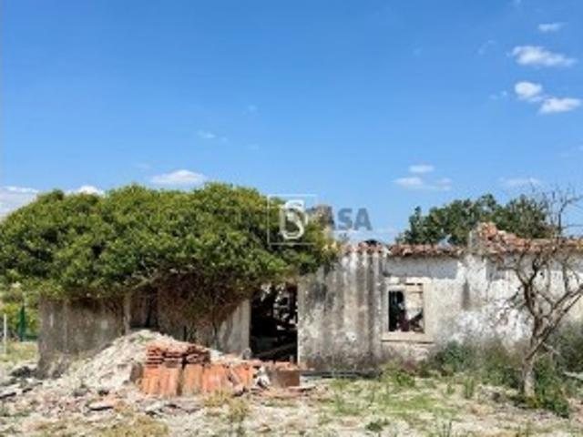Terreno Venda em Casével e Vaqueiros,Santarém