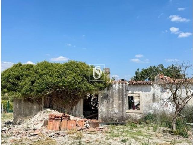 Terreno Venda em Casével e Vaqueiros,Santarém