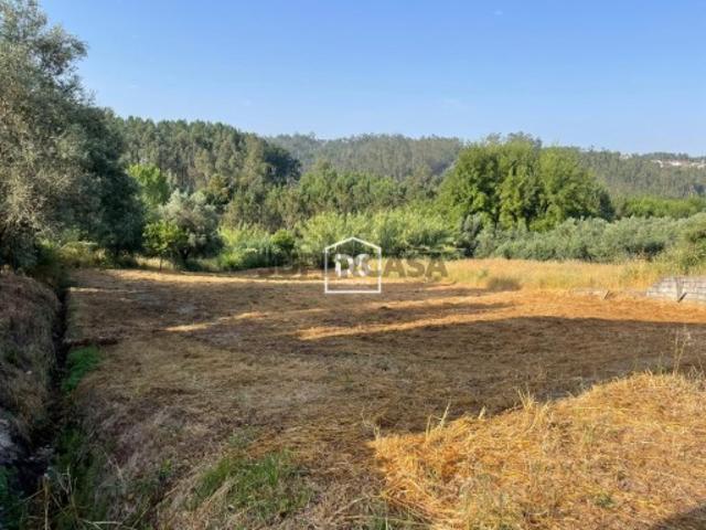 Terreno Venda em Carnide,Pombal