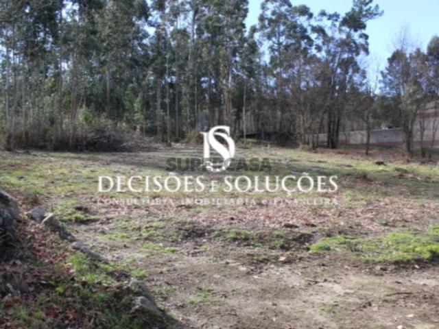 Terreno Venda em Carvalhosa,Paços de Ferreira