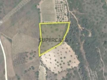 Terreno Venda em Chancelaria,Torres Novas