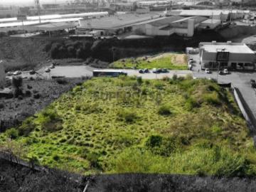 Terreno Venda em Eiras e São Paulo de Frades,Coimbra