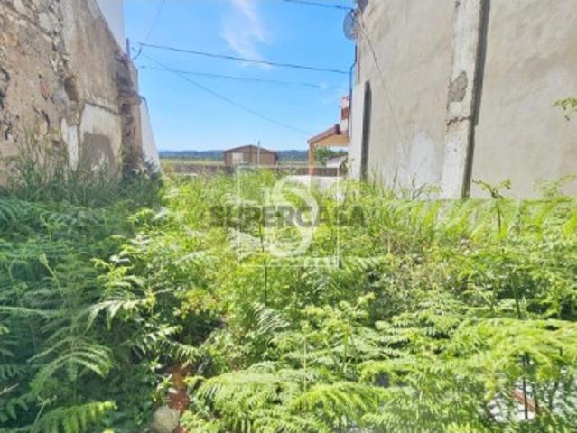 Terreno Venda em Ereira,Montemor o Velho