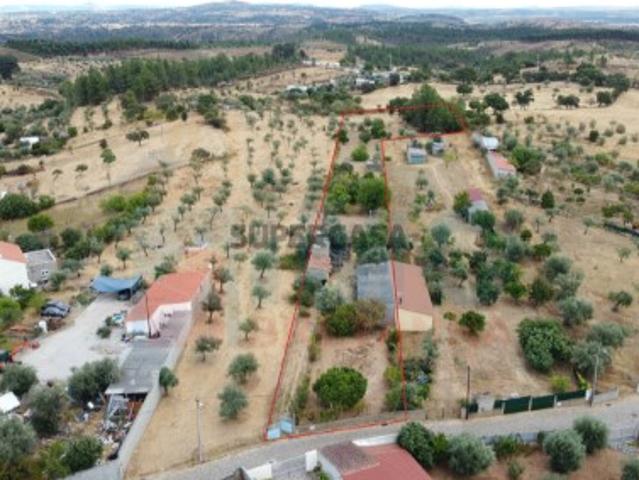 Terreno Rústico Venda em Escalos de Baixo e Mata,Castelo Branco