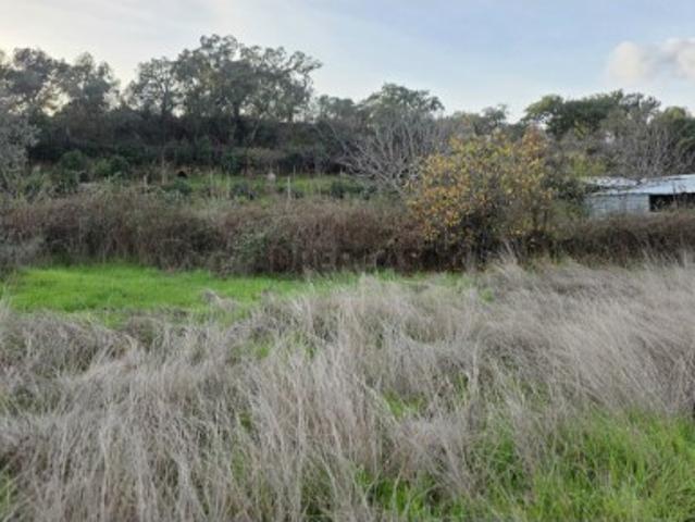 Terreno Venda em Idanha a Nova e Alcafozes,Idanha a Nova