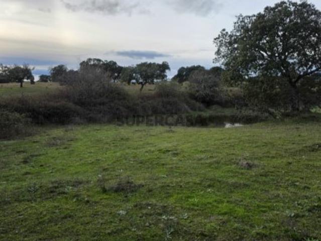 Terreno Venda em Idanha a Nova e Alcafozes,Idanha a Nova