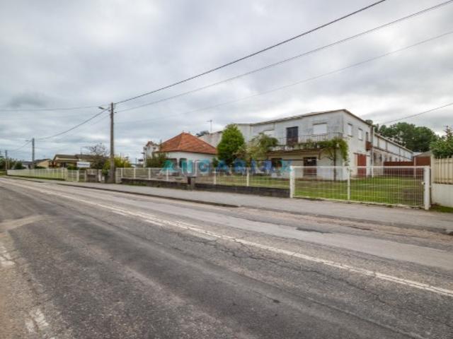 Terreno Venda em Pedreiras,Porto de Mós