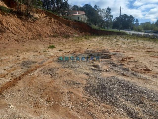 Terreno Venda em Pelariga,Pombal