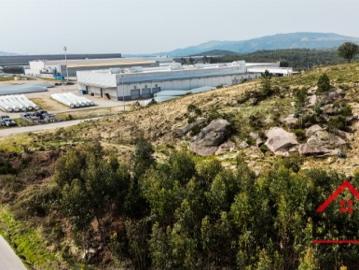 Terreno Venda em Pinheiro,Oliveira de Frades