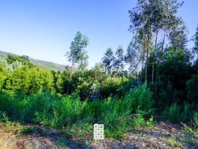 Terreno Venda em Pinheiro da Bemposta, Travanca e Palmaz,Oliveira de Azeméis