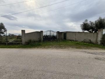 Terreno Venda em Pontével,Cartaxo