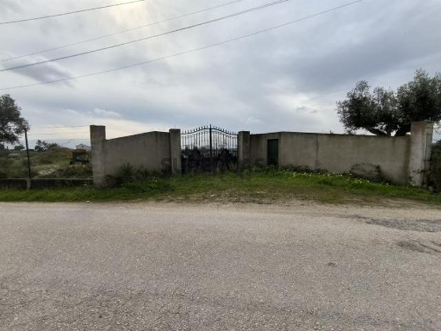Terreno Venda em Pontével,Cartaxo