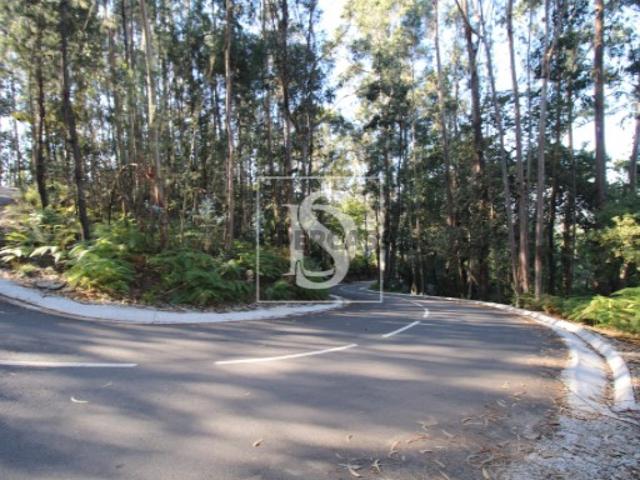 Terreno Venda em Rebordelo,Amarante