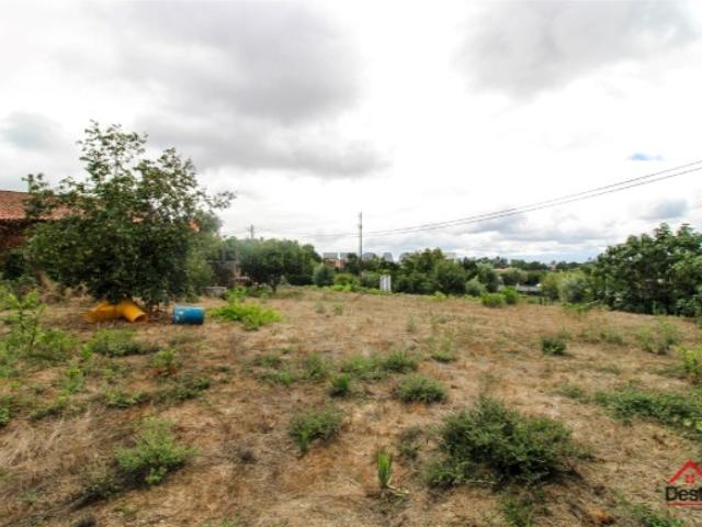 Terreno Venda em Rio de Loba,Viseu