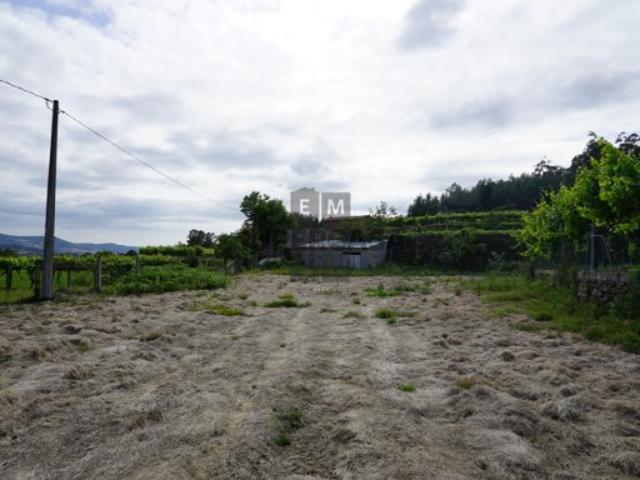 Terreno Venda em Roge,Vale de Cambra
