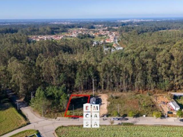 Terreno Para Construção Venda em São Martinho da Gândara,Oliveira de Azeméis