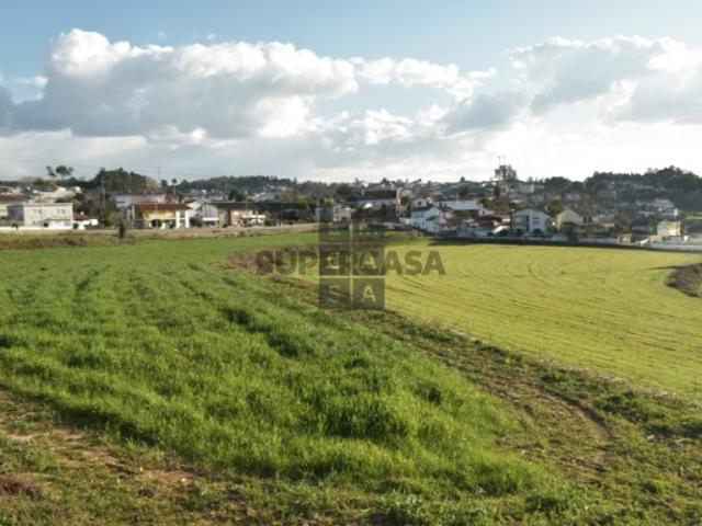 Terreno Venda em São Miguel do Souto e Mosteirô,Santa Maria da Feira