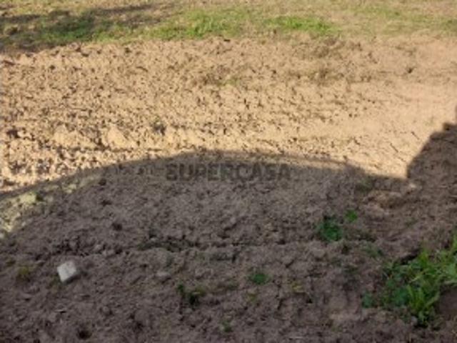 Terreno Venda em São Miguel do Rio Torto e Rossio ao Sul do Tejo,Abrantes