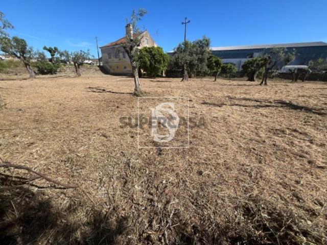 Terreno Venda em São Miguel do Rio Torto e Rossio ao Sul do Tejo,Abrantes