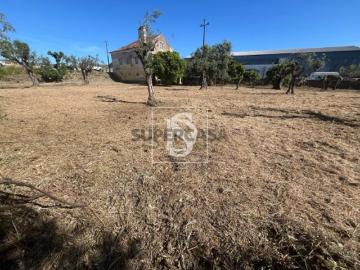 Terreno Venda em São Miguel do Rio Torto e Rossio ao Sul do Tejo,Abrantes
