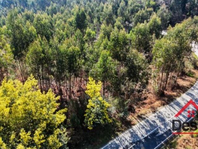 Terreno Venda em São Pedro do Sul, Várzea e Baiões,São Pedro do Sul