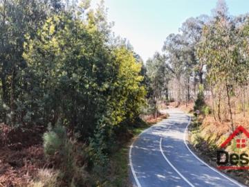 Terreno Venda em São Pedro do Sul, Várzea e Baiões,São Pedro do Sul