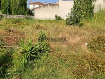 Terreno Venda em São Silvestre,Coimbra
