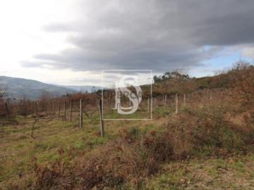 Terreno Venda em Salvador do Monte,Amarante