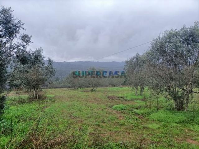 Terreno Venda em Santa Catarina da Serra e Chainça,Leiria