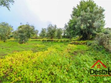 Terreno Venda em Silgueiros,Viseu