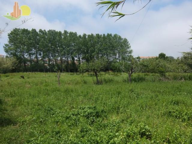 Terreno Venda em Tavarede,Figueira da Foz